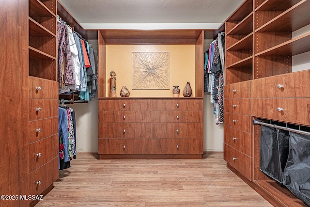 spacious closet featuring light hardwood / wood-style flooring