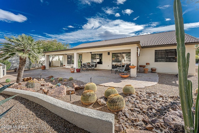 back of property with a patio area and ceiling fan