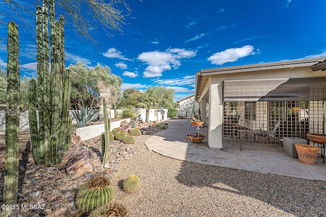 view of yard featuring a patio