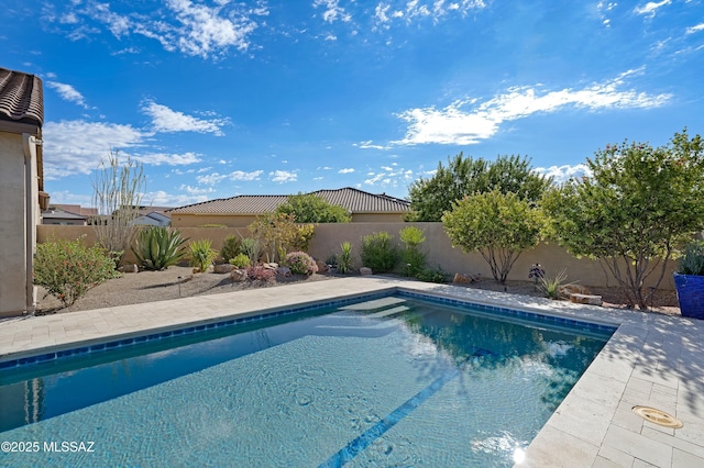 view of swimming pool