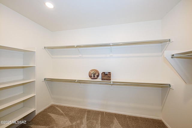 walk in closet featuring carpet