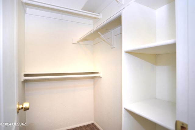 spacious closet featuring carpet flooring