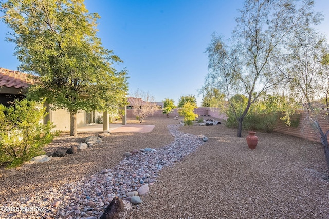 view of yard with a patio