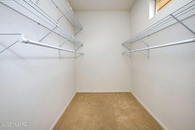 14686 N Lost Arrow Dr, Oro Valley, AZ 85755 - walk in closet featuring light carpet