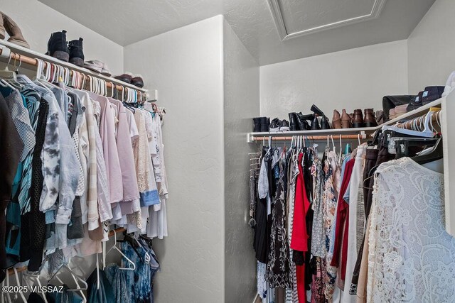 view of spacious closet