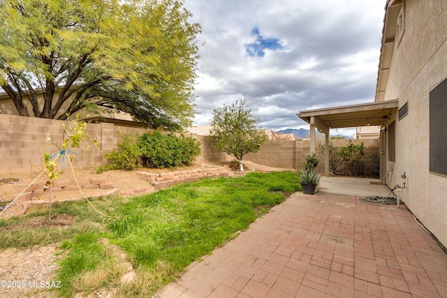 view of yard featuring a patio area