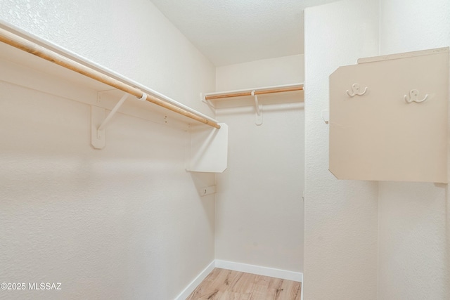 walk in closet with light wood-type flooring