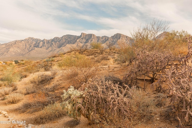 view of mountain feature