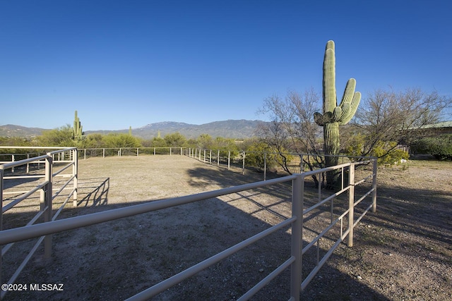 view of yard with a mountain view and a rural view