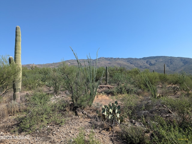 0000 E Rincon Creek Ranch Rd Unit 1, Tucson AZ, 85747 land for sale