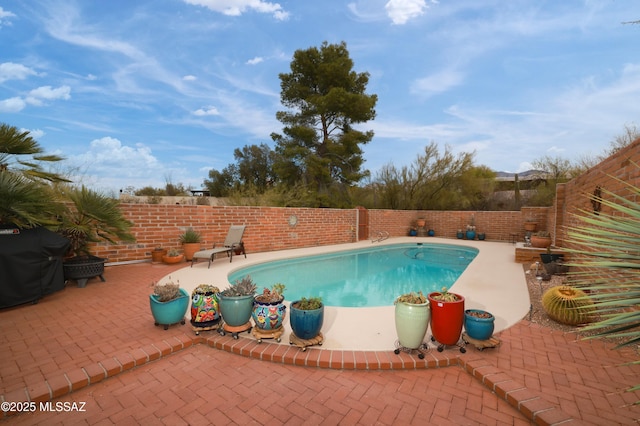 view of pool featuring area for grilling and a patio