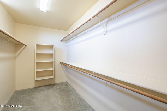 spacious closet featuring carpet floors