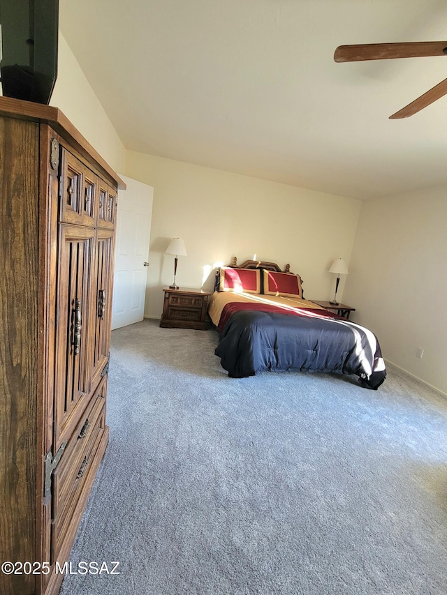 bedroom with carpet floors