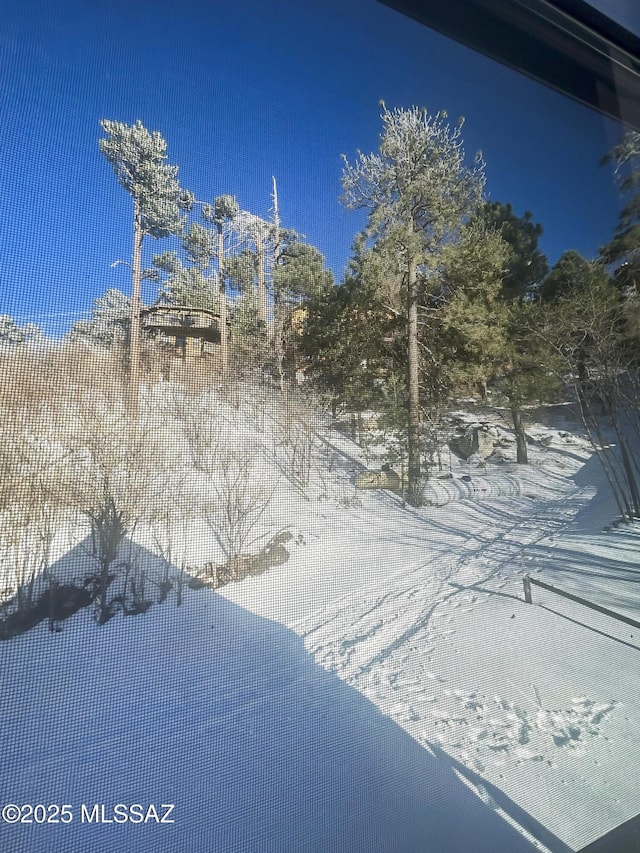 view of yard covered in snow