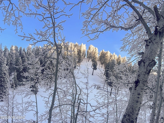 view of mountain feature