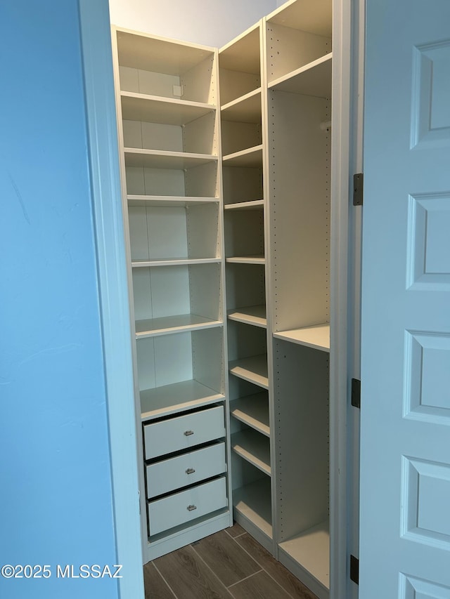 view of closet