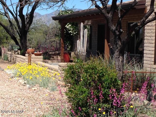 view of yard with a mountain view