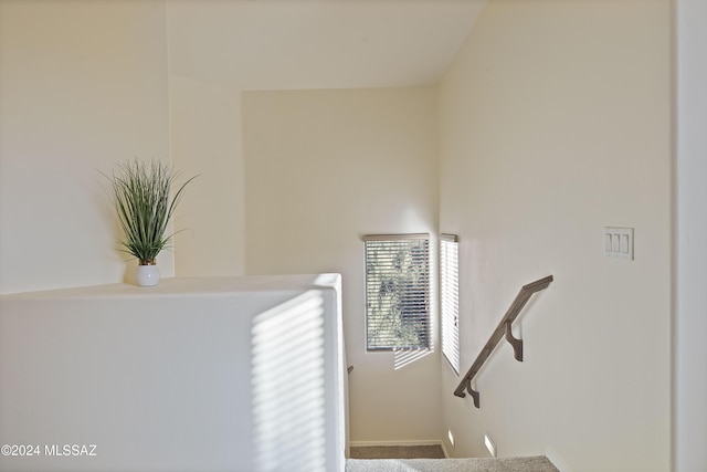 stairs featuring carpet flooring