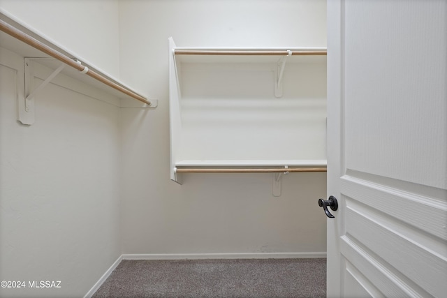 walk in closet featuring carpet