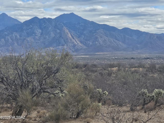 25555 S Via Montana Vis Unit 60, Green Valley AZ, 85622 land for sale