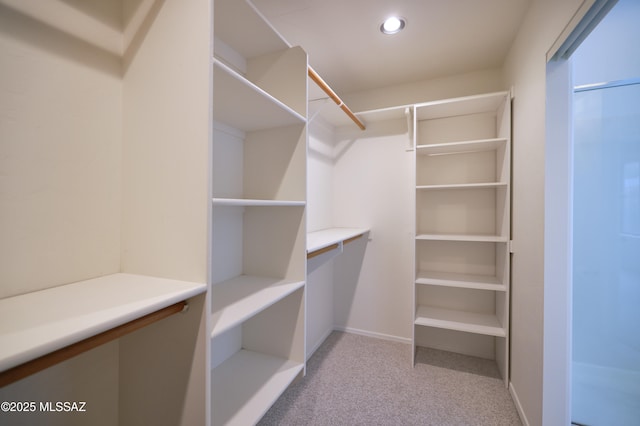 spacious closet featuring light colored carpet