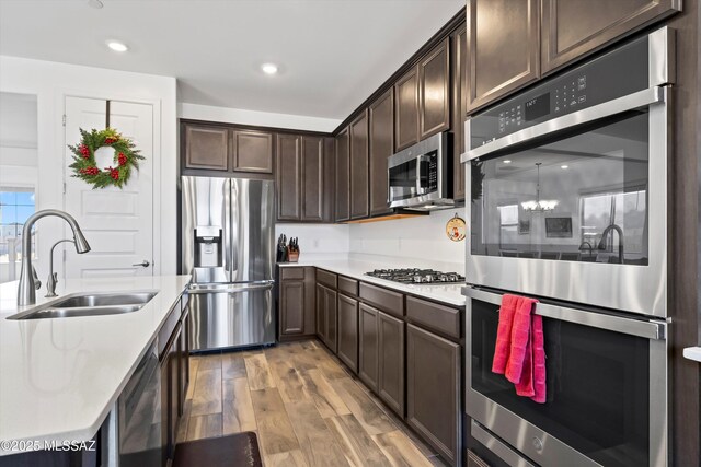 kitchen featuring dark brown cabinetry, stainless steel appliances, a sink, wood finished floors, and light countertops