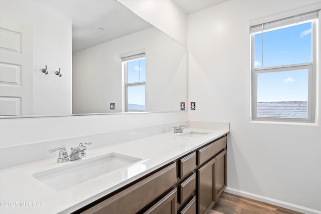 full bathroom featuring double vanity, a wealth of natural light, and a sink