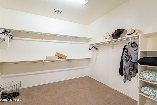 spacious closet with visible vents and carpet floors