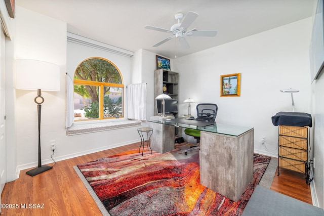 office featuring hardwood / wood-style flooring and ceiling fan