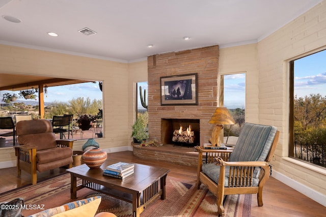 living room featuring a large fireplace, wood-type flooring, and ornamental molding