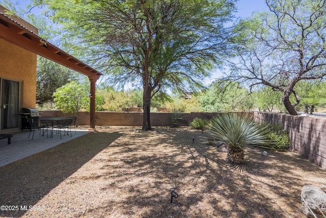 view of yard with a patio