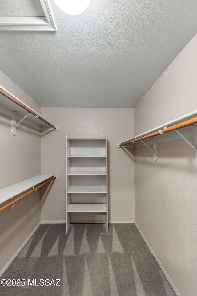 5481 W Cochie Springs St, Marana, AZ 85658 - spacious closet featuring carpet