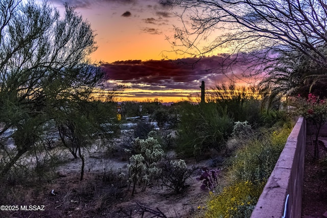 5481 W Cochie Springs St, Marana, AZ 85658 - view of nature at dusk