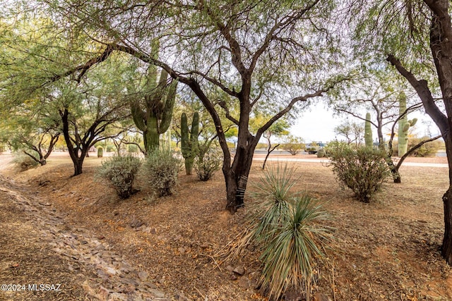 view of landscape