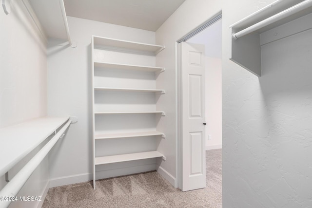 walk in closet featuring light carpet