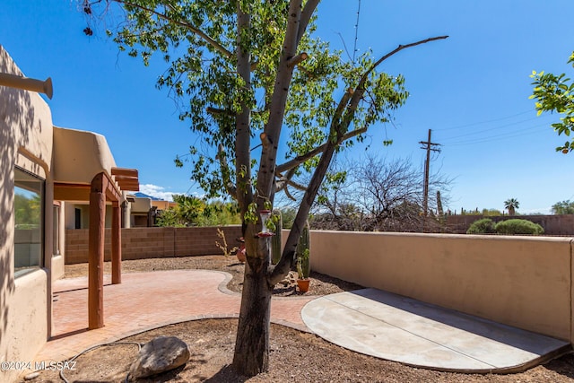 view of yard with a patio