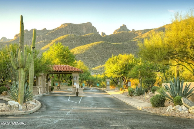 view of property's community featuring a mountain view