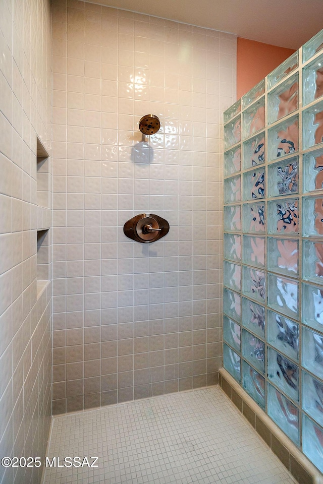 bathroom with a walk in shower