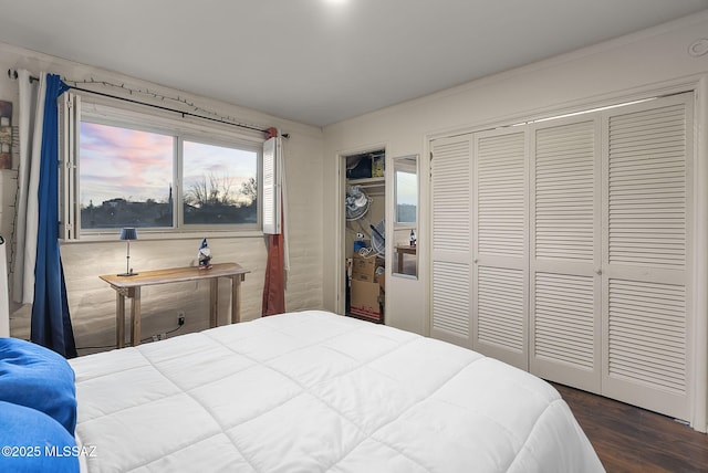 bedroom featuring dark hardwood / wood-style floors