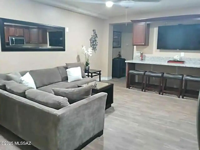 living room featuring light hardwood / wood-style floors