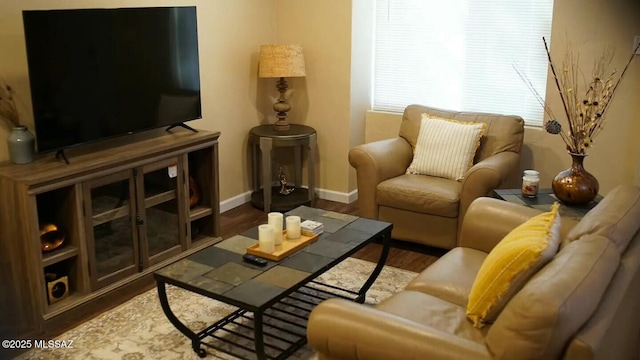 living room with hardwood / wood-style flooring