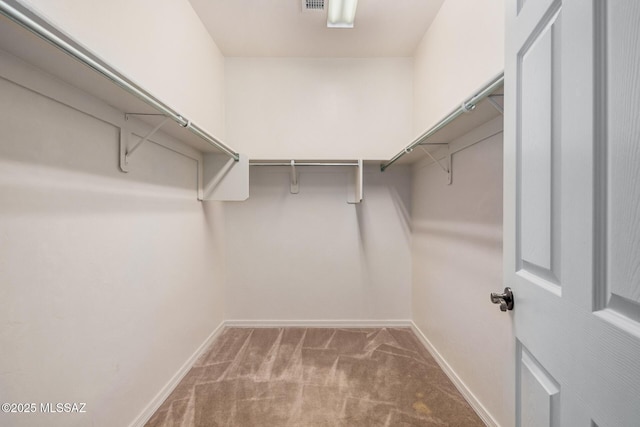 walk in closet with carpet flooring