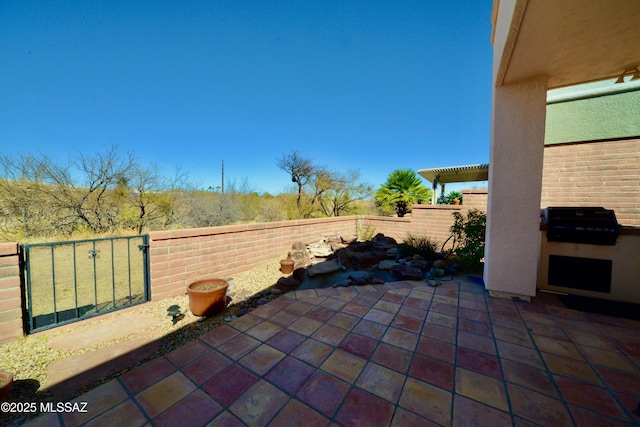 view of patio with a fenced backyard, grilling area, area for grilling, and a pergola