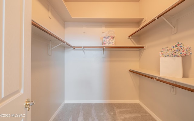 walk in closet featuring carpet