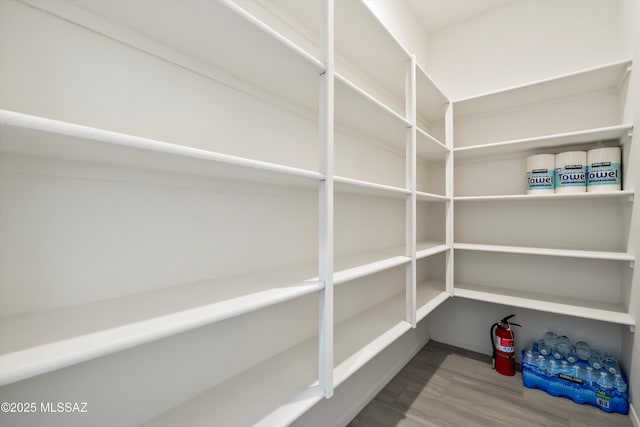 view of pantry