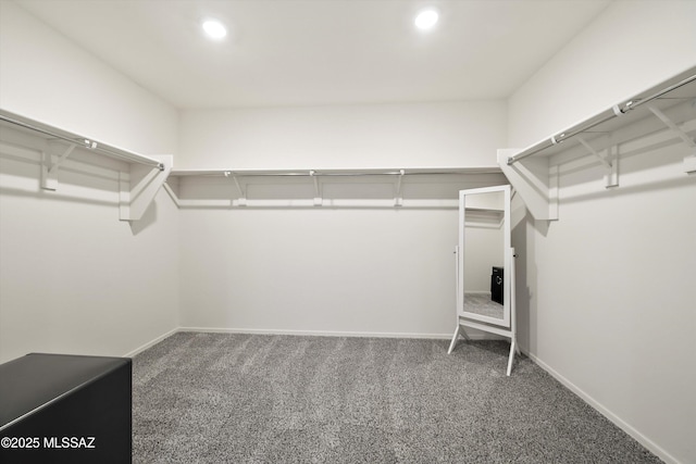 spacious closet with carpet flooring