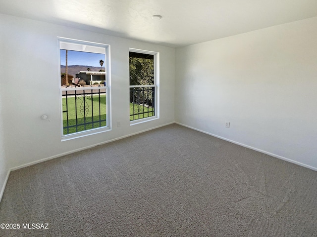 unfurnished room featuring carpet flooring