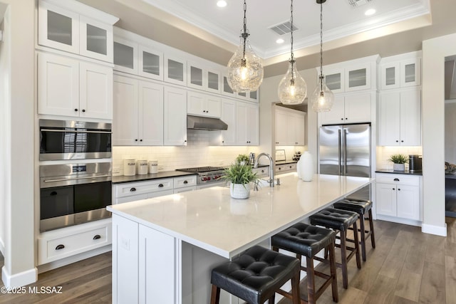 kitchen with a raised ceiling, white cabinetry, stainless steel appliances, and a kitchen island with sink