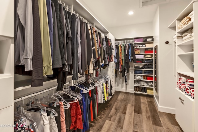 spacious closet with dark hardwood / wood-style floors