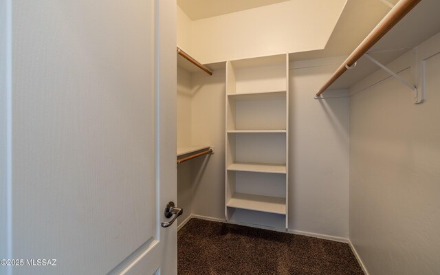13289 E Wranglers Rest Dr, Vail, AZ 85641 - spacious closet featuring dark colored carpet
